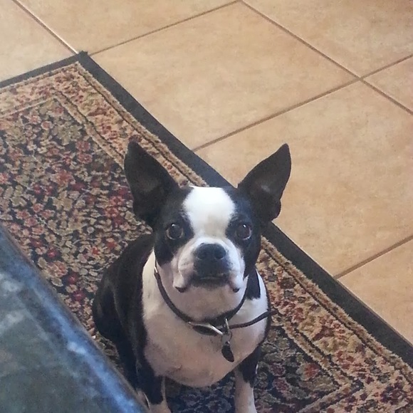 Meet your Posher, Mary - Picture 1 of 1